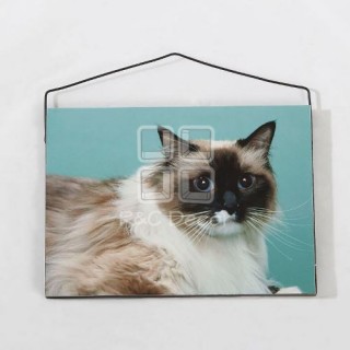 (EPF0026B) MDF Cat Hanging Plaque